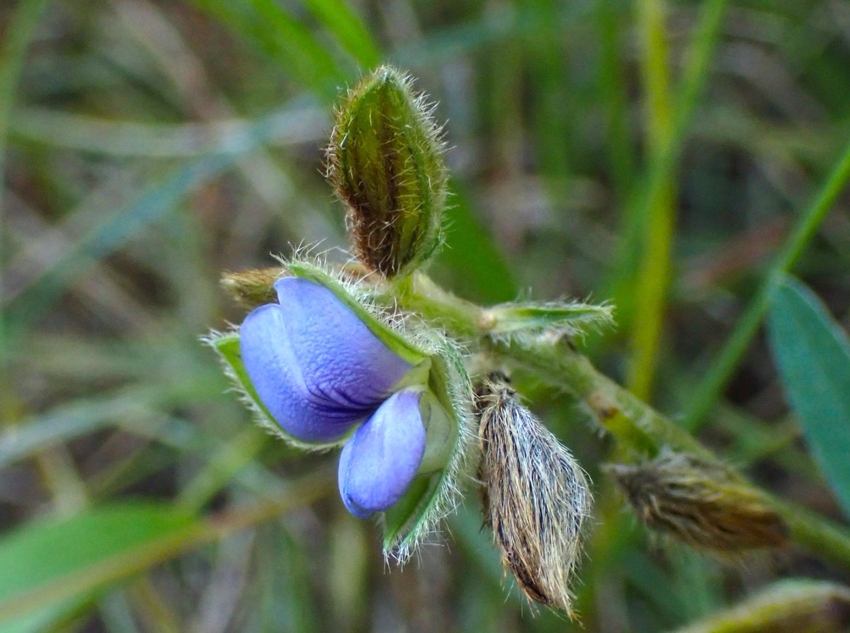 zoe (@Czoe41315833) / Posts / X