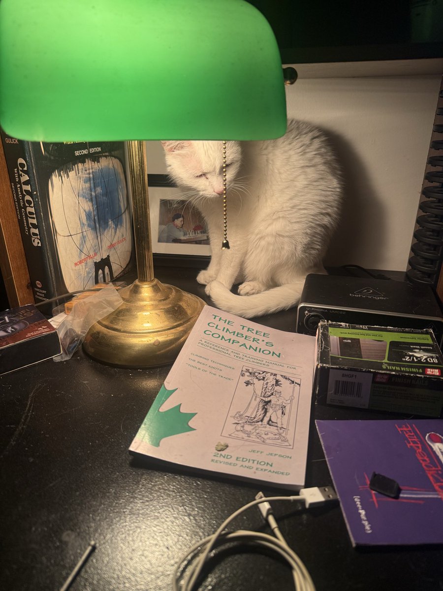 Attack Kitty 13 (@attackkitty13) on Twitter photo 