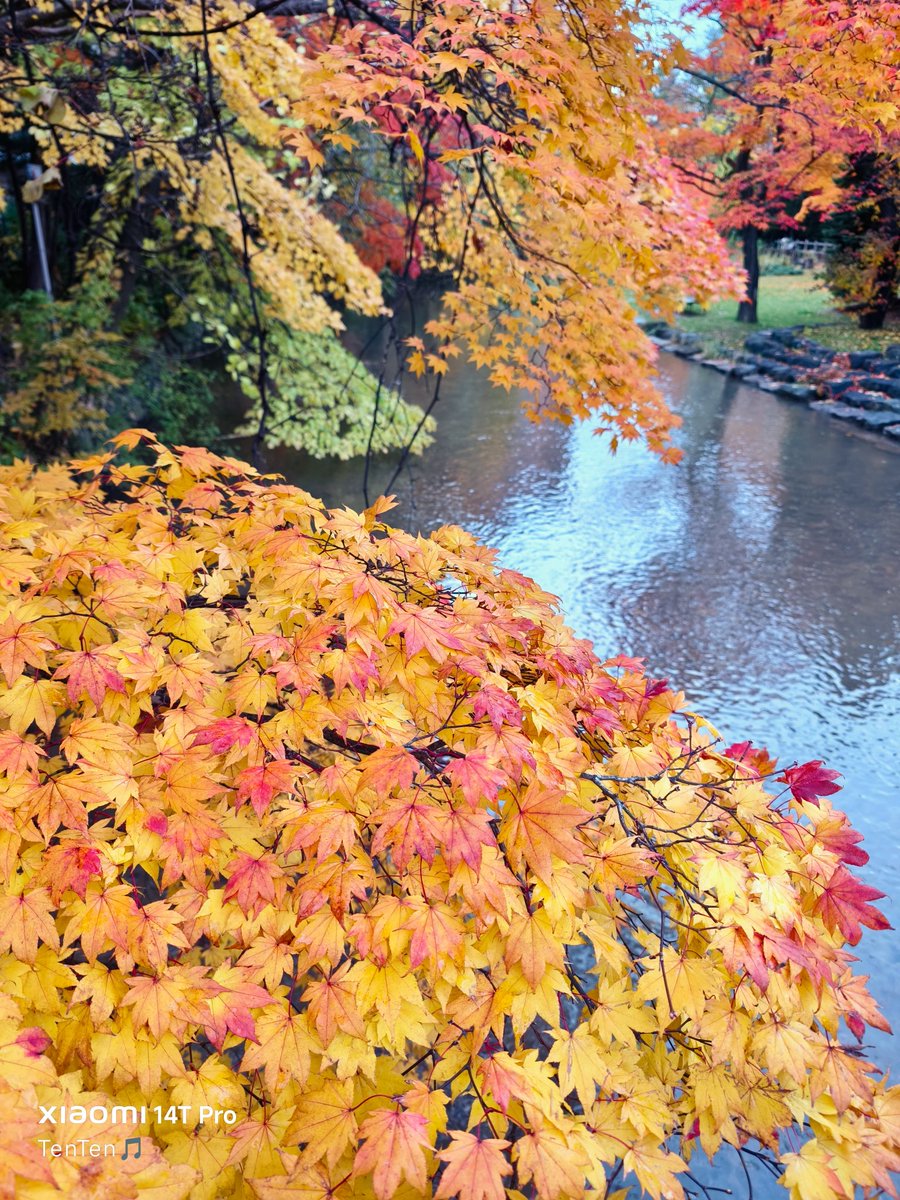 てんてん🎵《TenTen》🎶❤️ on X