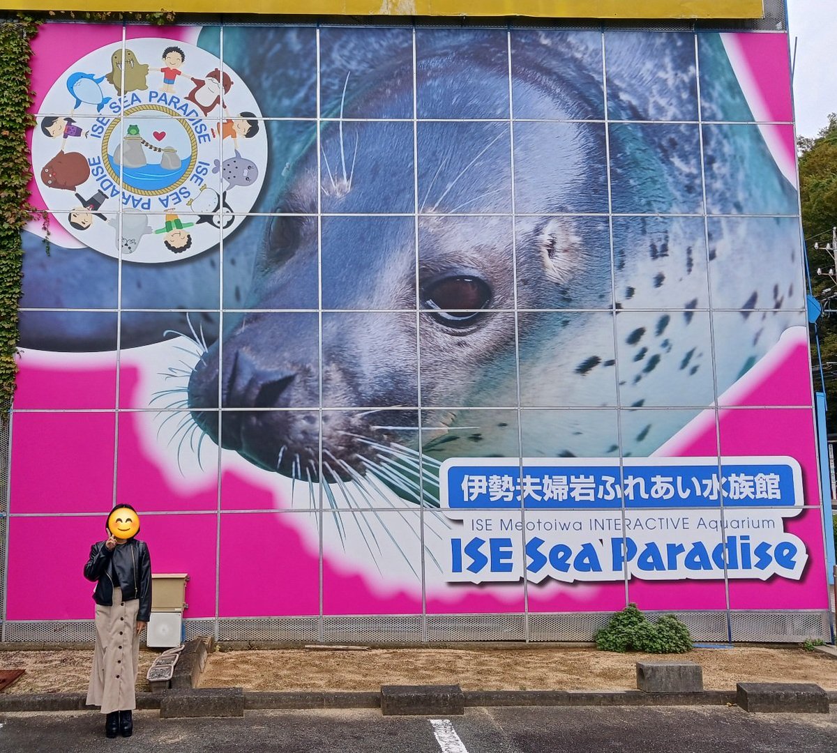 メンダコページ 深海生物シリーズ メンダコ – 合同会社吉本アートファクトリー