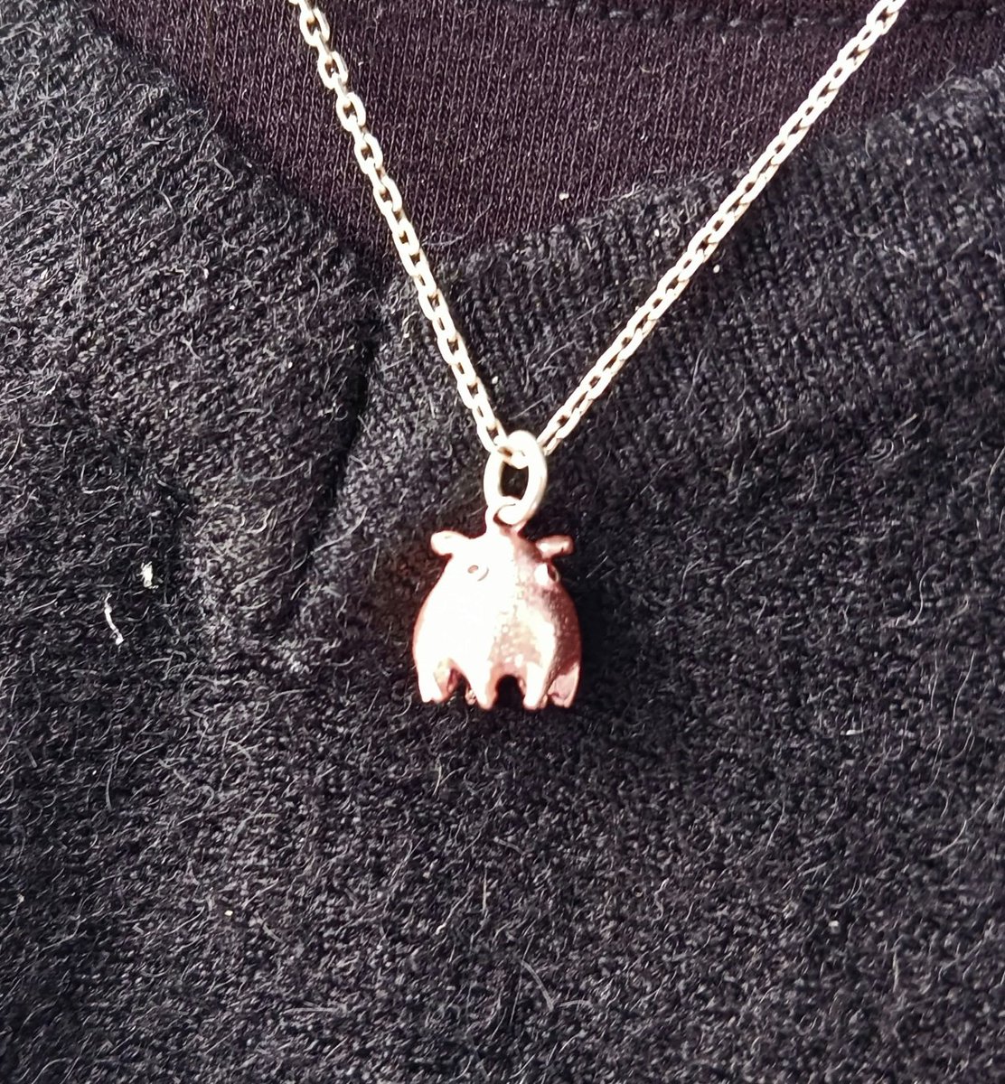 patagonia0619 ！Dis Moi✩.*˚ネックレス しんえもん on X