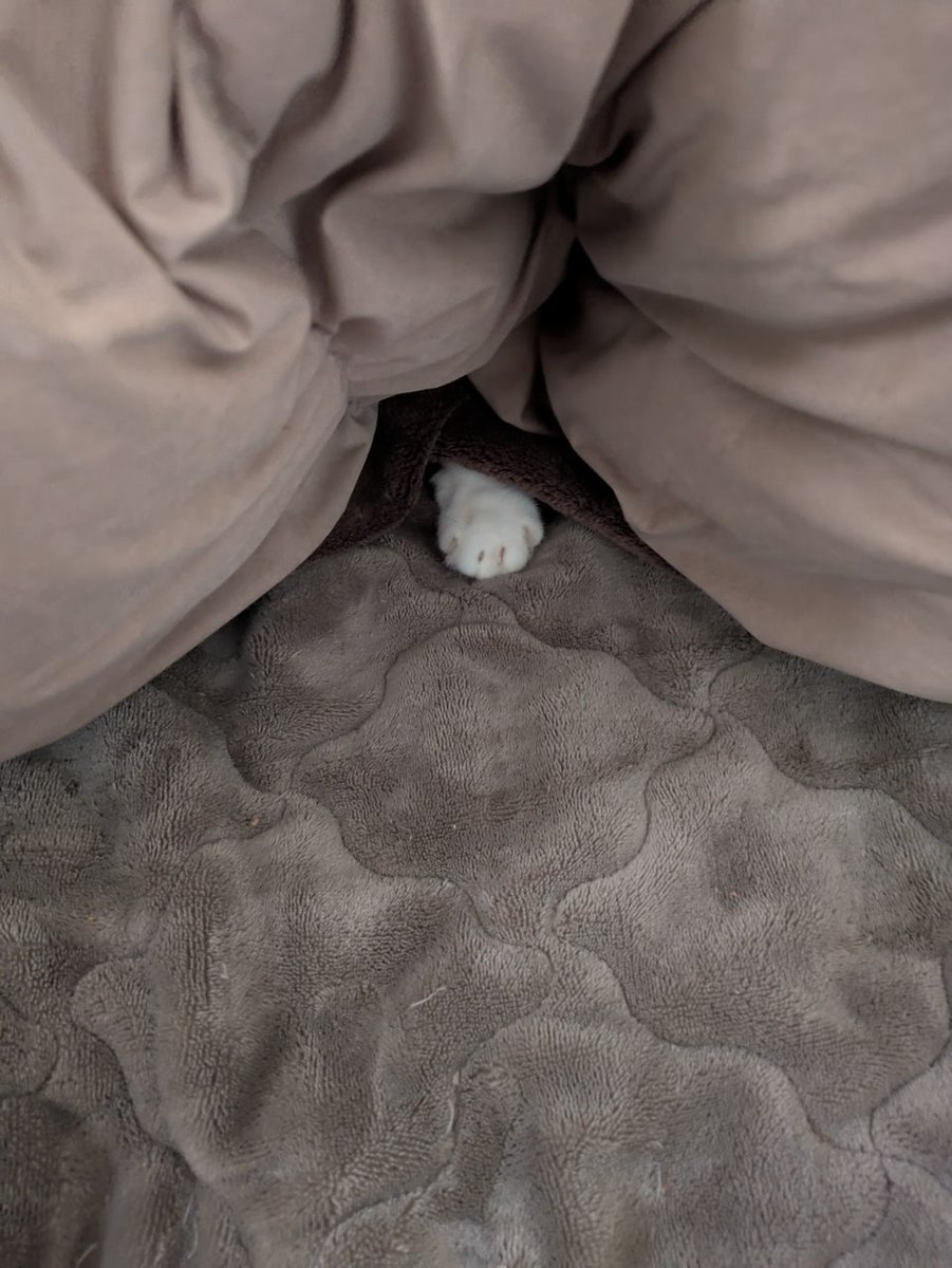 しめ鯖@商業誌三冊目！「日本異世界百景9/19発売」＋異世界まぁ