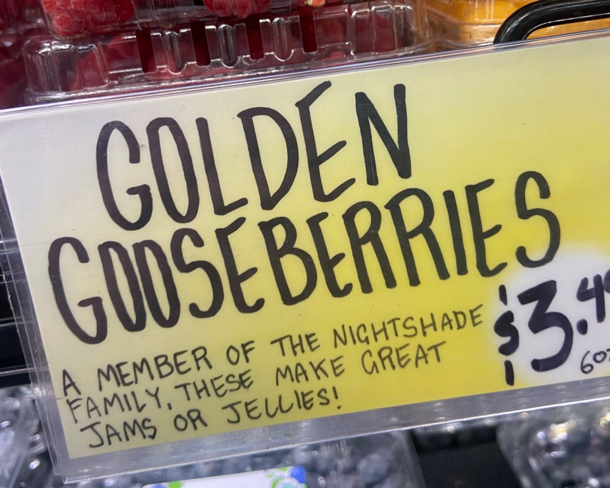 type of shit joe biden says before he nuts