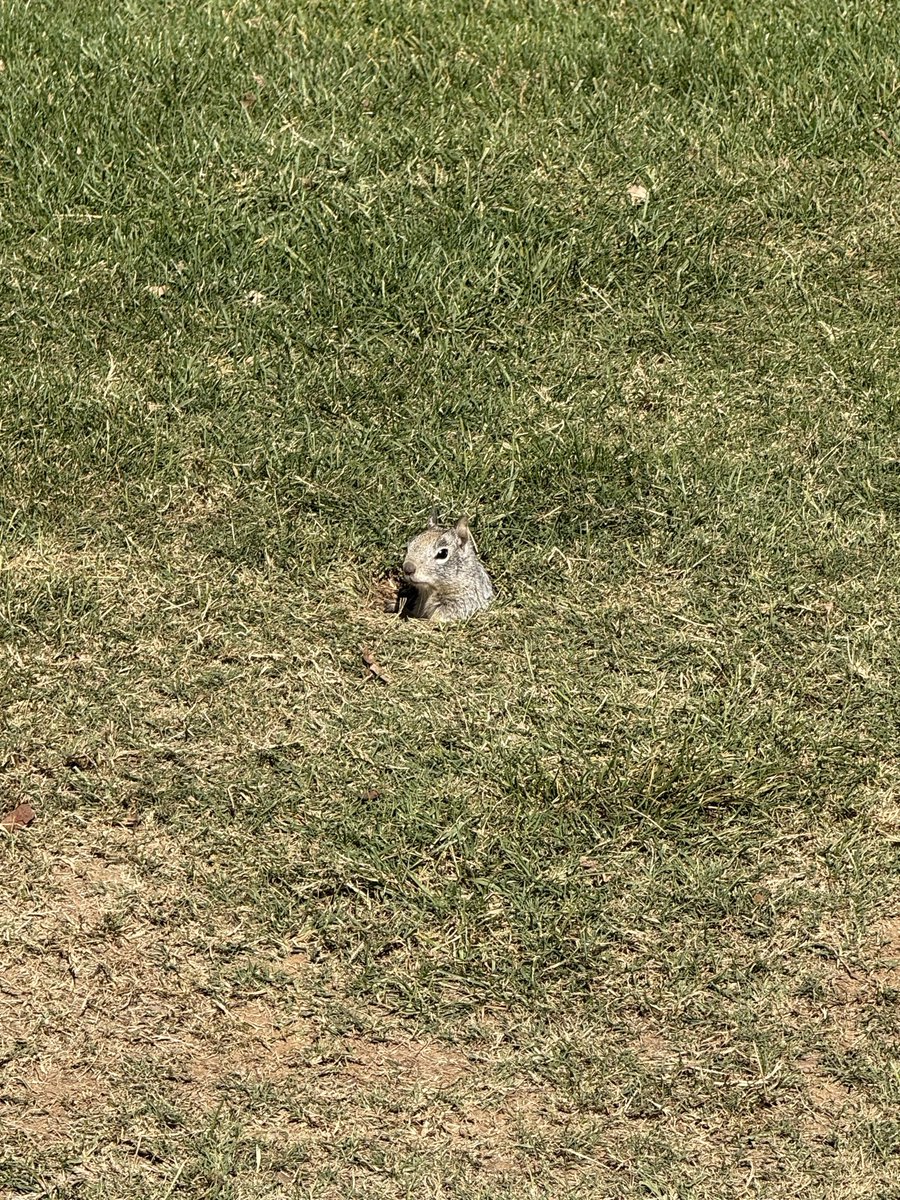 My audience and judge today on 14 tee today <a href="/HagginOaks/">Haggin Oaks Golf Com</a>