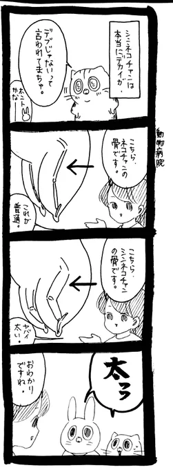 原因は骨太 