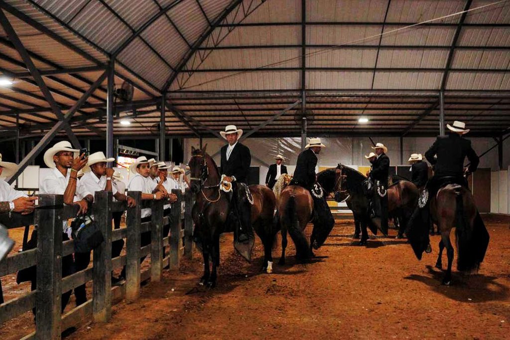 alejoeder's tweet image. En Cali seguimos siendo escenario de eventos de clase mundial.

La Copa Mundial Equina de Caballos de Paso ha reunido a más de 7.000 personas diarias y 2.000 visitantes de otras regiones.
Los hoteles llenos, la economía activa y una ciudad que sigue brillando ante el mundo.…