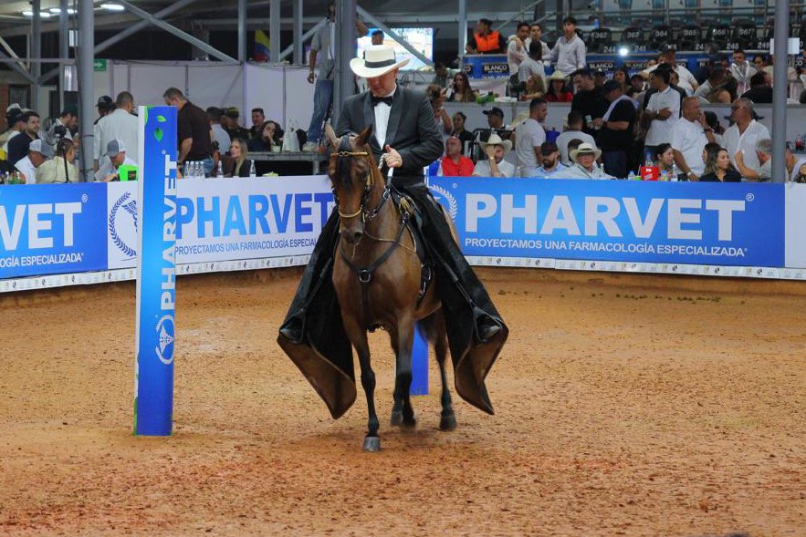 alejoeder's tweet image. En Cali seguimos siendo escenario de eventos de clase mundial.

La Copa Mundial Equina de Caballos de Paso ha reunido a más de 7.000 personas diarias y 2.000 visitantes de otras regiones.
Los hoteles llenos, la economía activa y una ciudad que sigue brillando ante el mundo.…