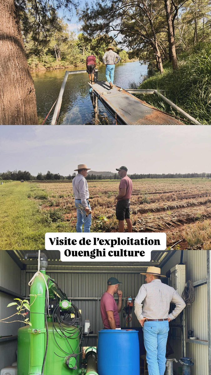 Pascal Vittori tweet media