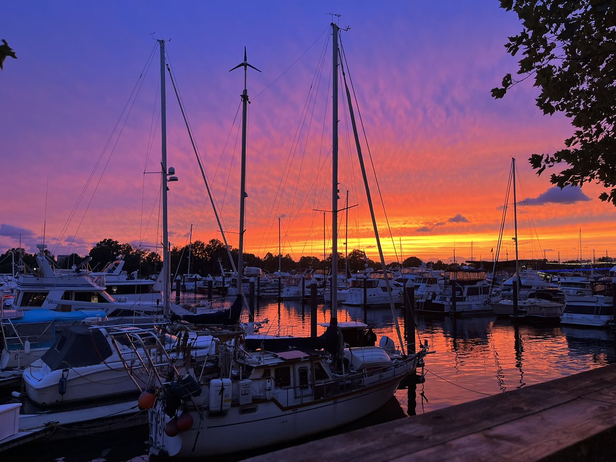 MaryJack97's tweet image. Washington, DC

The Wharf (2023)