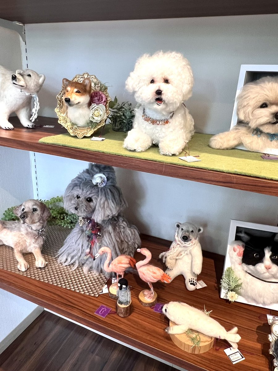 カヤ　パネル　チワワ柄 KARE アクリルペインティング チワワ(50×50cm) アートパネル