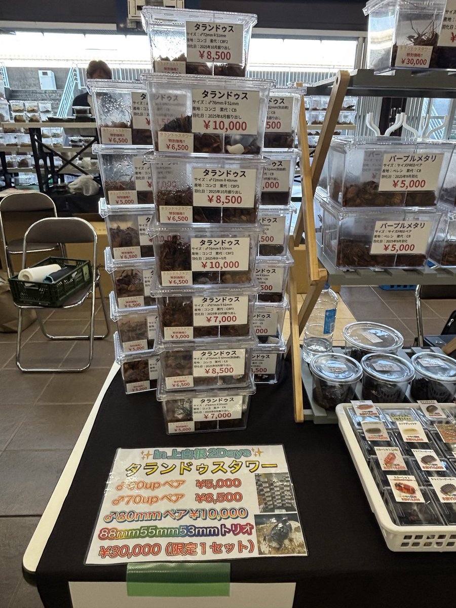 bug_forest's tweet image. タランドゥスタワー建設完了しました🫡