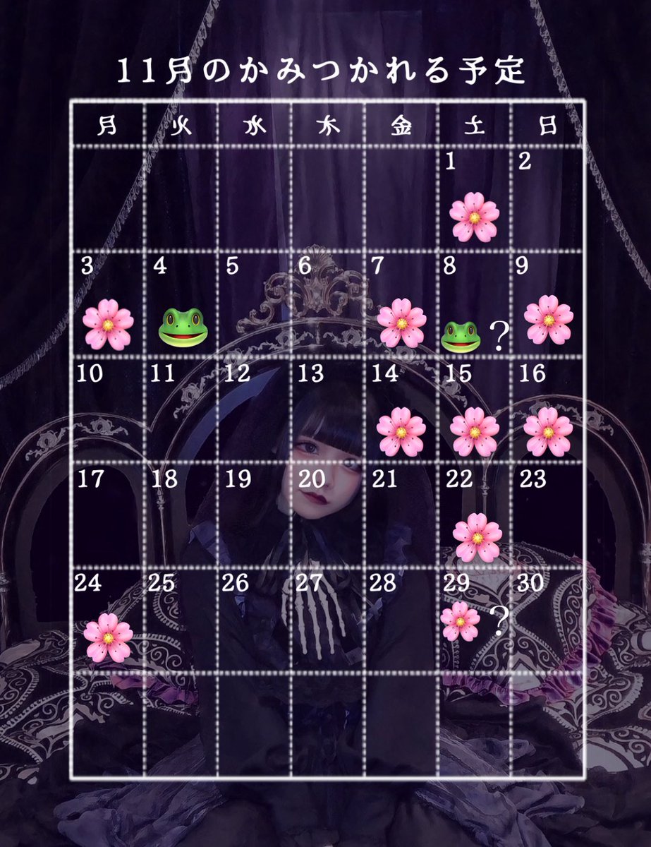 kmtkboo's tweet image. 11月のかみつかれる予定

🐸は予定出勤の形取ってるので、お店来れそうな日あったら連絡くださいませ💭