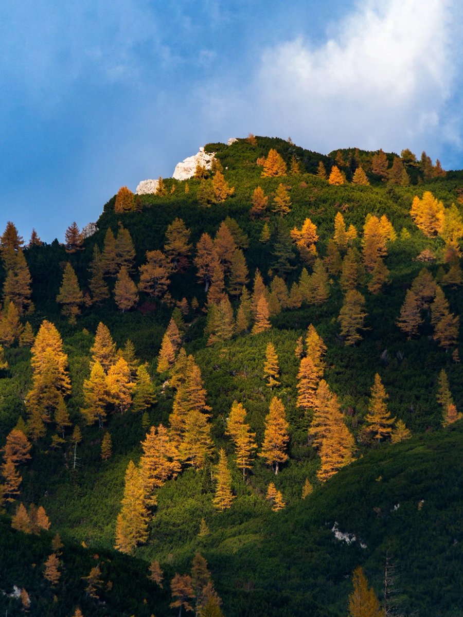 ExploringSlo's tweet image. The autumn contrasts in the mountains 😍
Photos by 📸 @avanturist.ju3