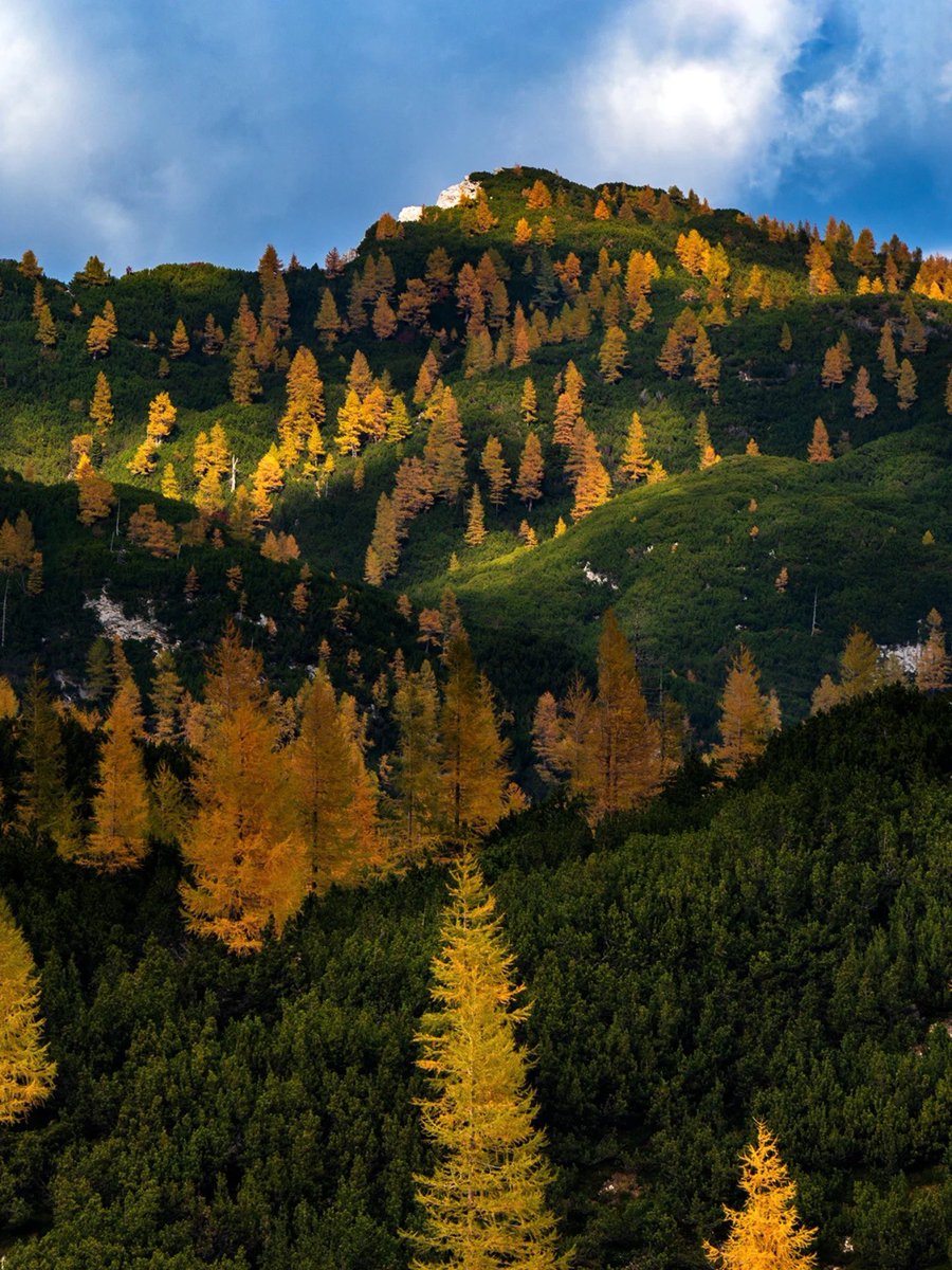 ExploringSlo's tweet image. The autumn contrasts in the mountains 😍
Photos by 📸 @avanturist.ju3