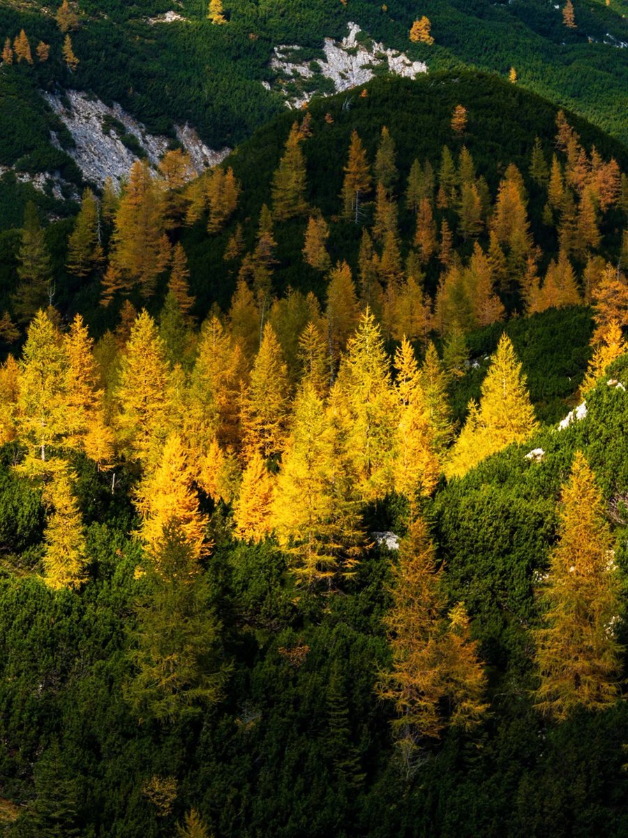 ExploringSlo's tweet image. The autumn contrasts in the mountains 😍
Photos by 📸 @avanturist.ju3
