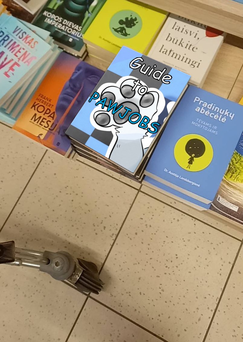 Earlier today I found this book in a store, should I have bought it? It just seemed odd.