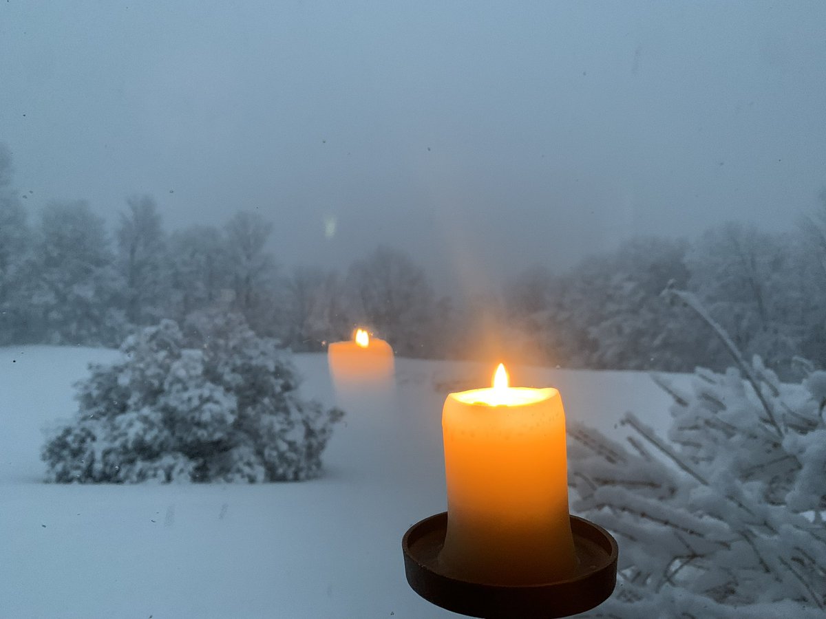 OldHollowTree's tweet image. I am ready for you to return, dear snow.