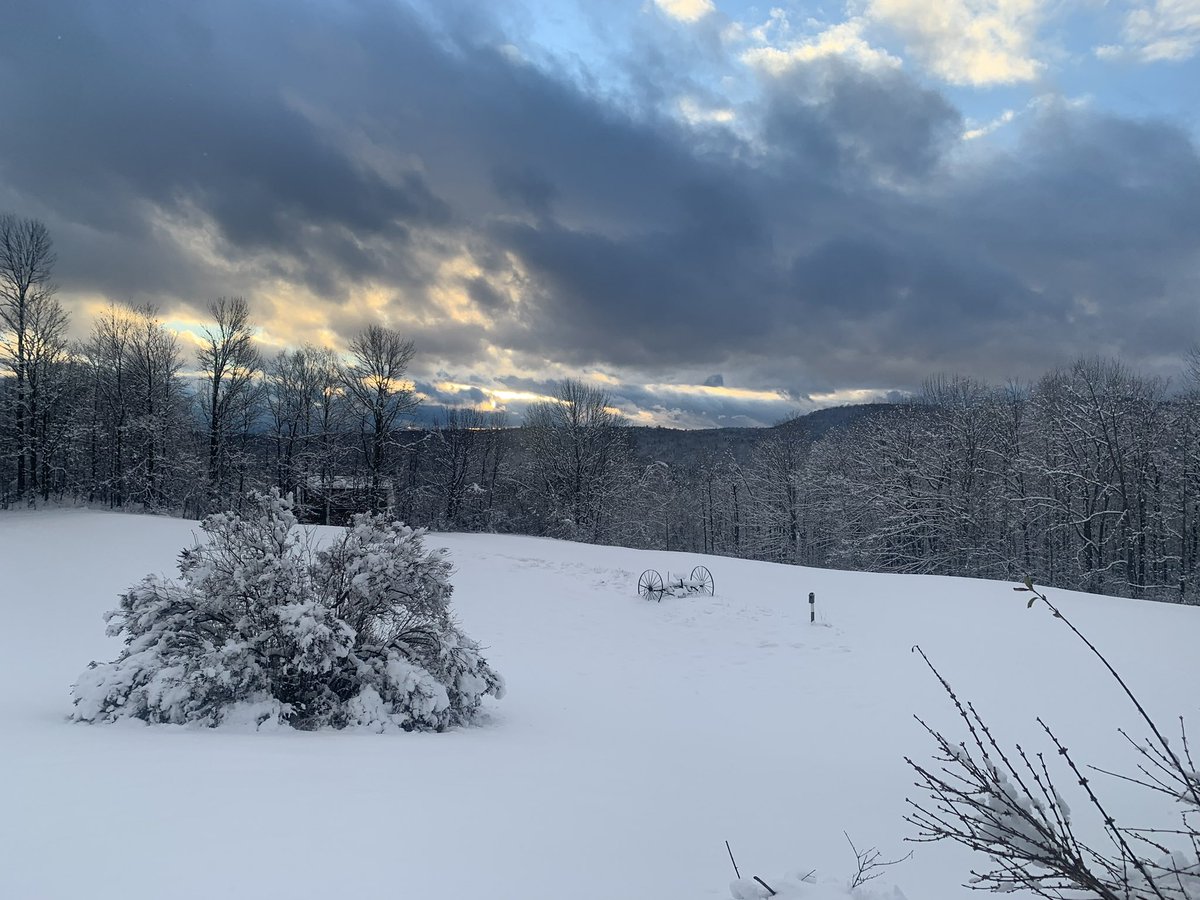 OldHollowTree's tweet image. I am ready for you to return, dear snow.