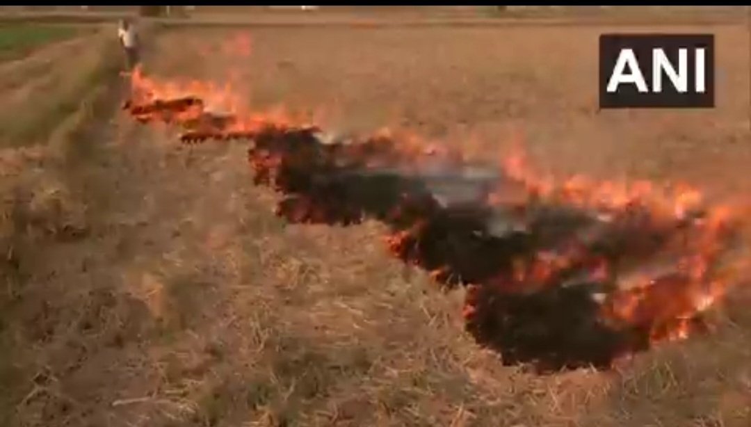 Aviator_hardeep's tweet image. #Paddystraw will continue to &apos;burn&apos; more from India&apos;s Lapdog media &apos;studios&apos; , &apos;newspaper&apos; offices, &apos;IT cells&apos;, than the Fields itself. 

Farmers ought to get ready for some big disruption moves by a Govt which has taken so much pride by doing the same in the past.…