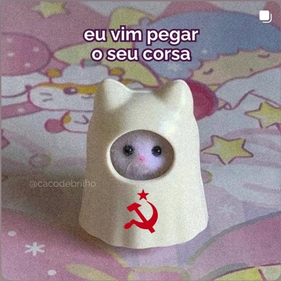 concurseiralascada tweet media