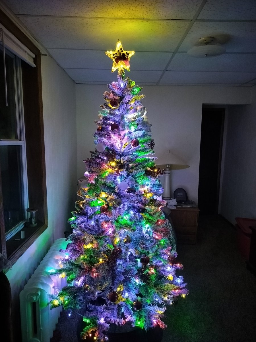 HersIs13Mines14's tweet image. It&apos;s the holiday season now so I figured why shouldn&apos;t I decorate? 🤷🏼‍♀️
#HolidaySeason #Swiftmas