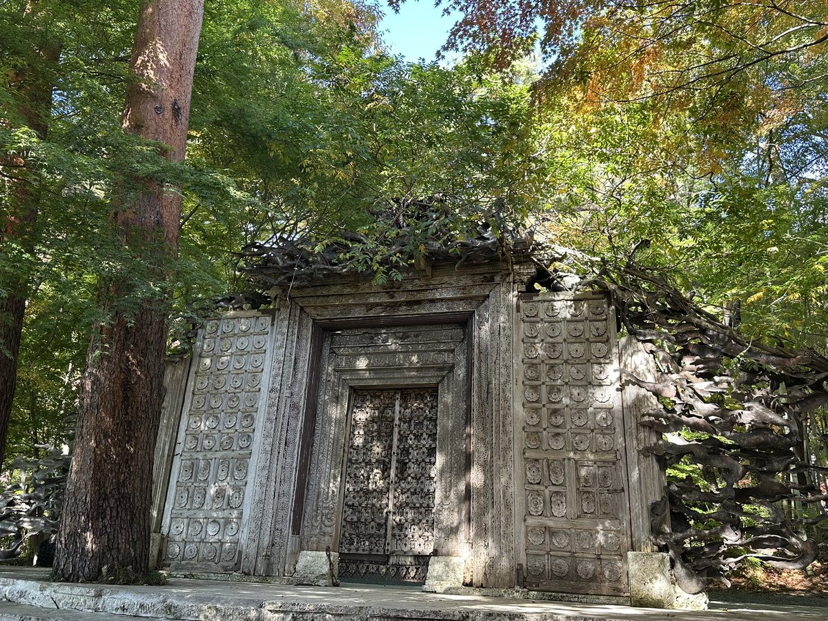 naonao (@naonao23784915) / Posts / X