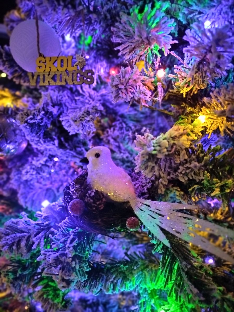 HersIs13Mines14's tweet image. It&apos;s the holiday season now so I figured why shouldn&apos;t I decorate? 🤷🏼‍♀️
#HolidaySeason #Swiftmas