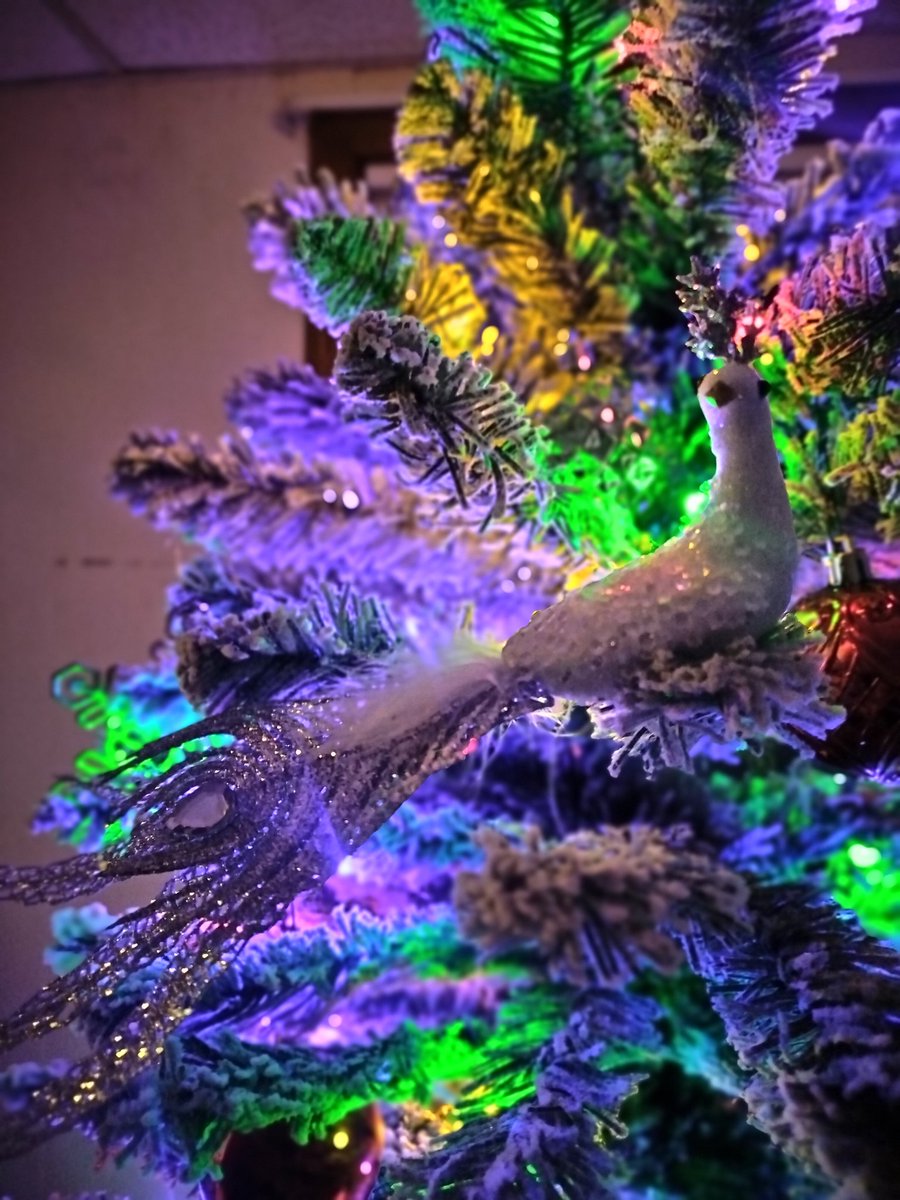 HersIs13Mines14's tweet image. It&apos;s the holiday season now so I figured why shouldn&apos;t I decorate? 🤷🏼‍♀️
#HolidaySeason #Swiftmas