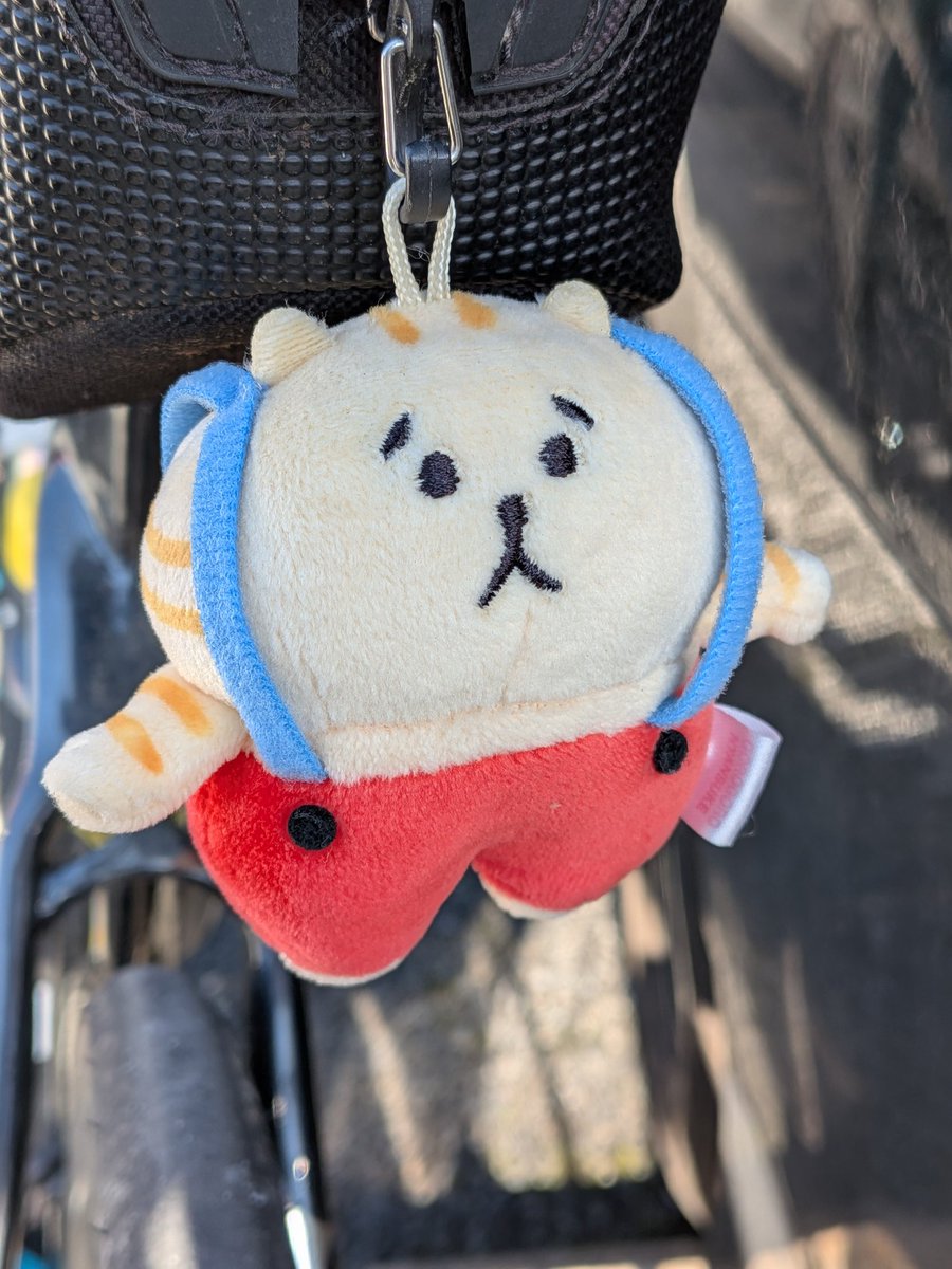 マル (@moyamoya_san) / Posts / X