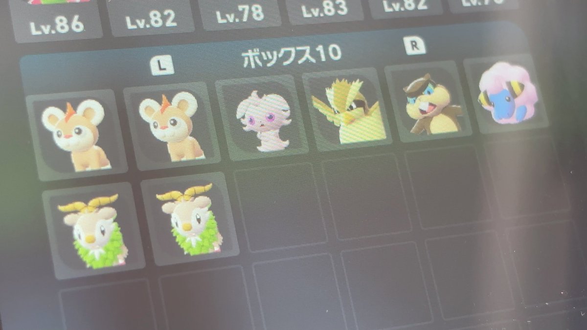 マロッちぇページ MJ-TOCHI-SP21/E MGR-FGR (Momose / モモセ) エレキベース