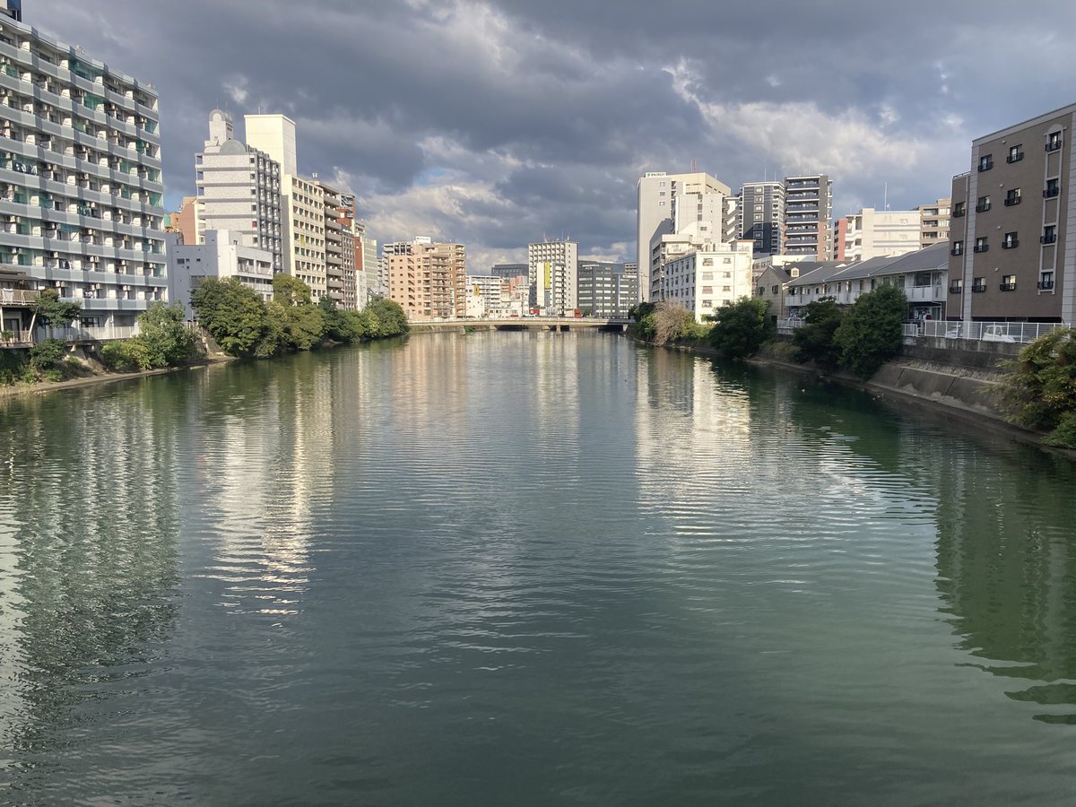 ダーウィンが来た! The first on X