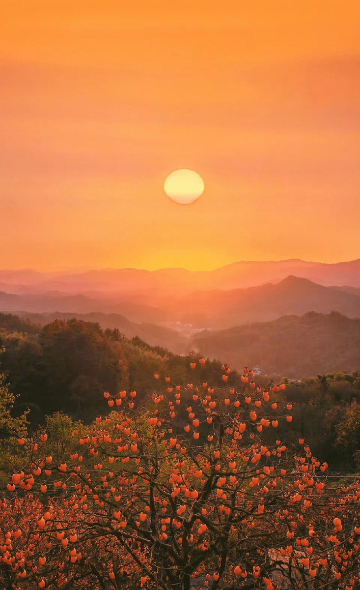 秋天的日出，朦朦胧胧才是最好的。