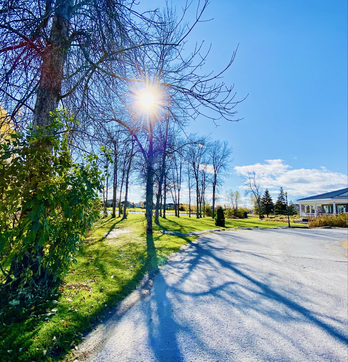 VisibleThink's tweet image. Still happening on a bright afternoon. The sun does come up and the #BlueJays are still amazing.