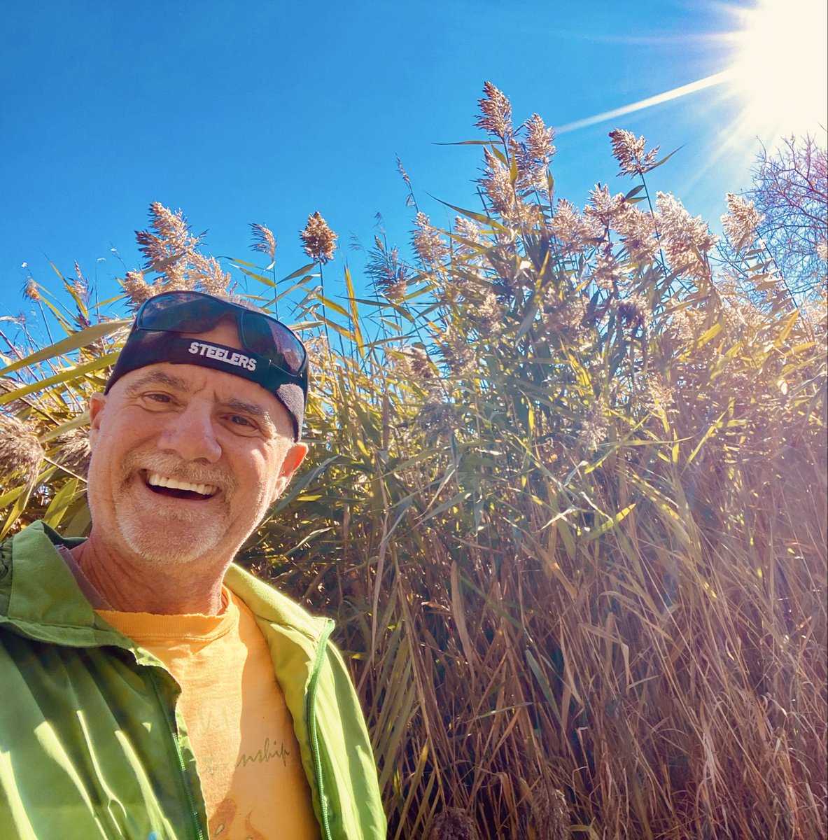 VisibleThink's tweet image. Still happening on a bright afternoon. The sun does come up and the #BlueJays are still amazing.