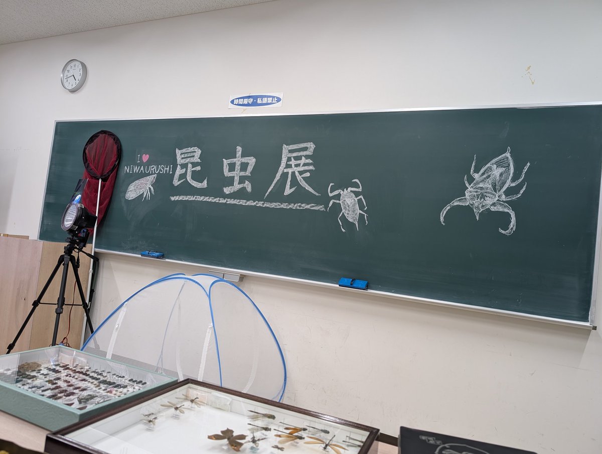 mushichubu's tweet photo. 大学祭、無事3日間終了しました！
私達が想定していた以上に沢山の人にお越しいただけました！
来年も開催しようと思いますので、是非お越しください💦 https://t.co/4gJdrbTZRo