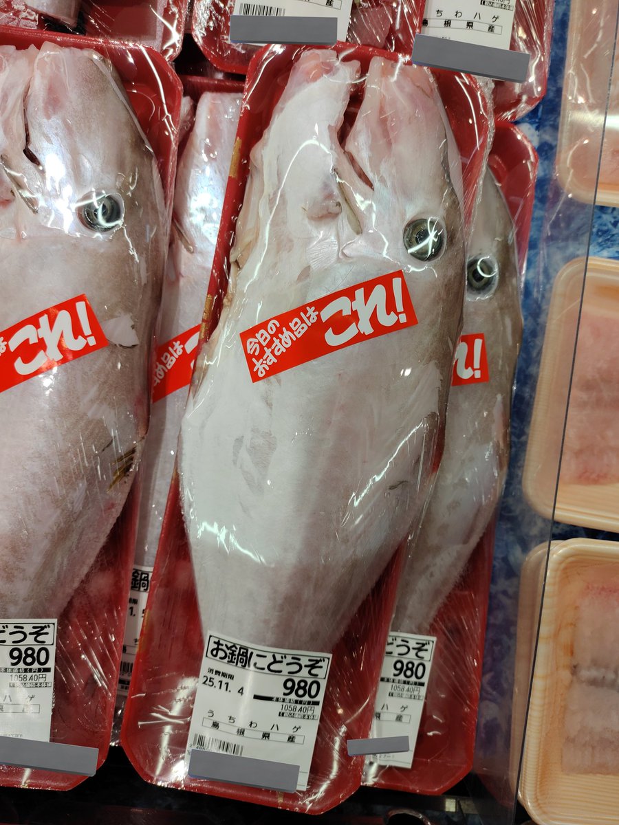 さかなです さち子(アラフィフ爺👴) on X