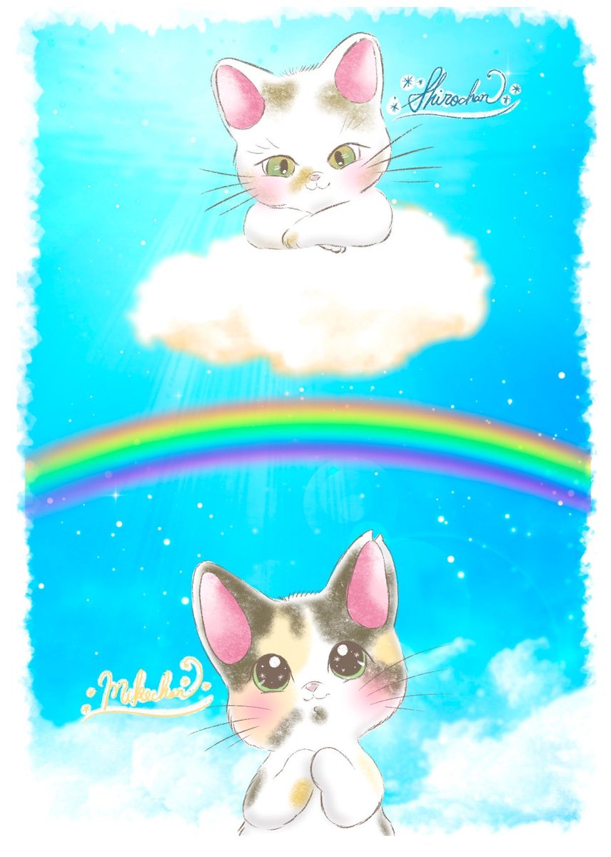 ミケ猫ฅ^•ω•^ฅ★ 珍妙すぎるオス三毛猫、2等身の未確認生物になる The male calico