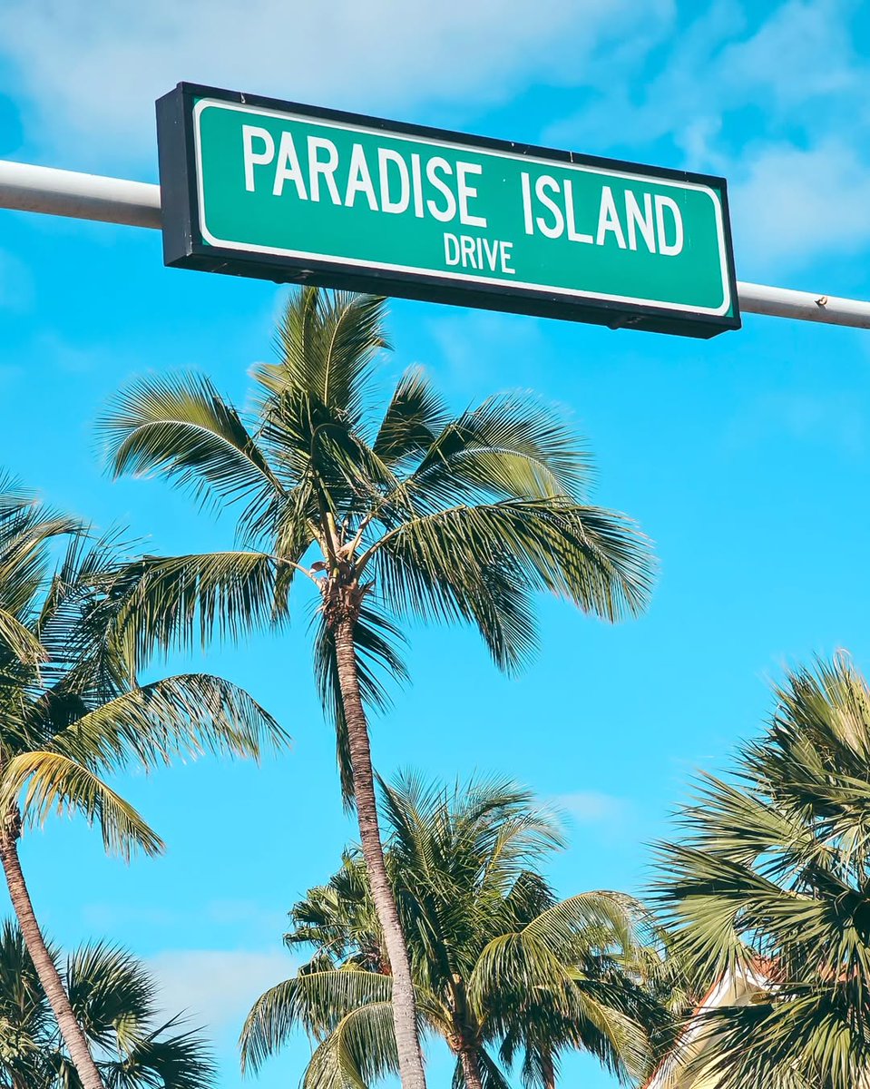 Nassau_Bahamas's tweet image. Trade concrete jungles for this palm-tree canopy on Paradise Island. 🌴 

If you&apos;ve been to Paradise Island, share your favourite spot below!

#PalmTreeParadise #TropicalVibes #IslandTime #BeachLife #CaribbeanLife #BeachVibes

📷 IG: emimakota