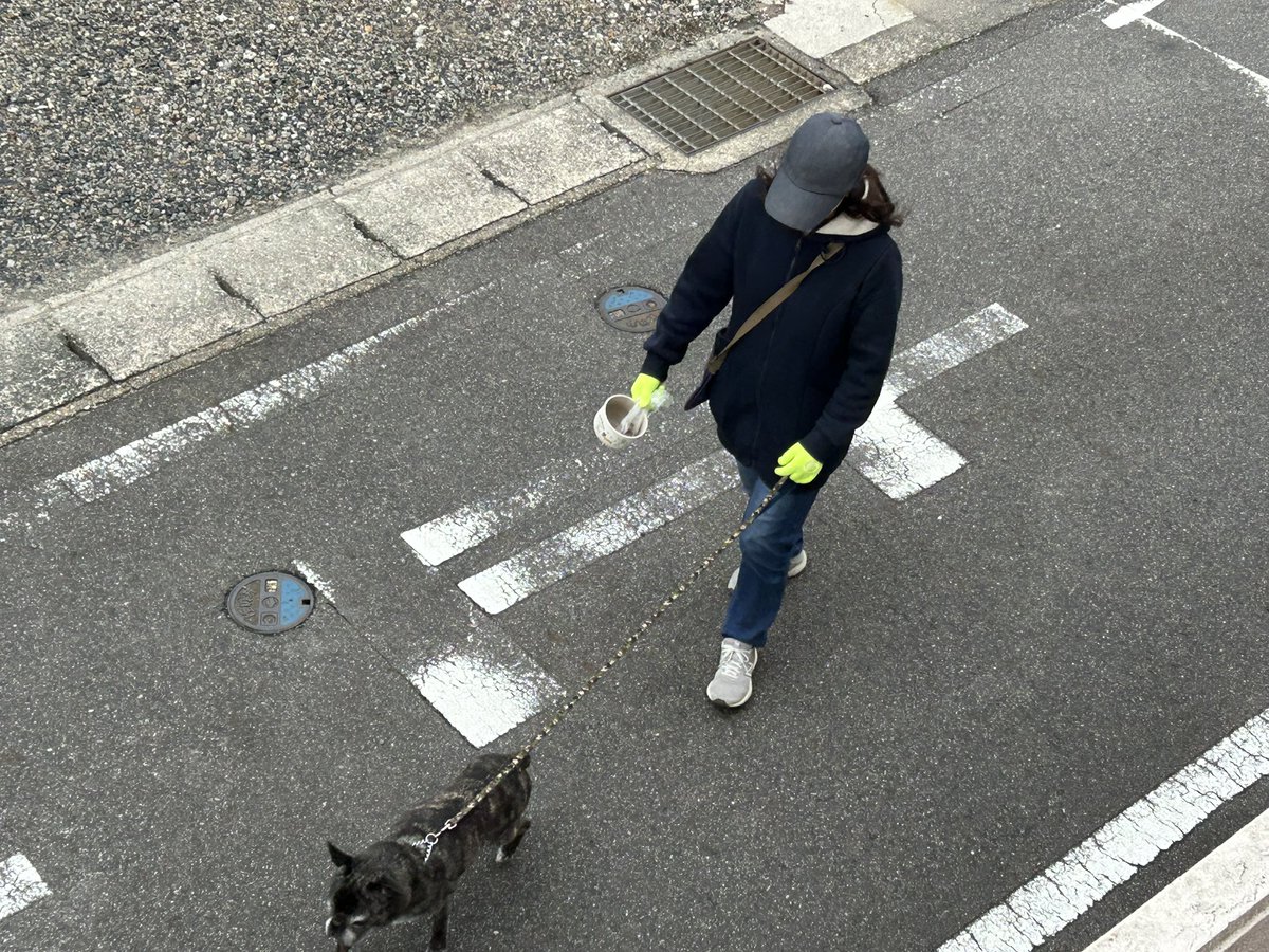 tanakatakeshi's tweet image. 【11月3日🎌文化の日】

今日は国民の祝日「文化の日」です。
祝日法では、「自由と平和を愛し、文化をすすめる」ことを趣旨とすると定めています。

今朝は、二男と一緒に朝のお散歩です…🐾。ちなみに長男は妻と一緒に出かけました…🐶。
なぜかチビたちの気分で、別行動になりました…。

#質実剛健…