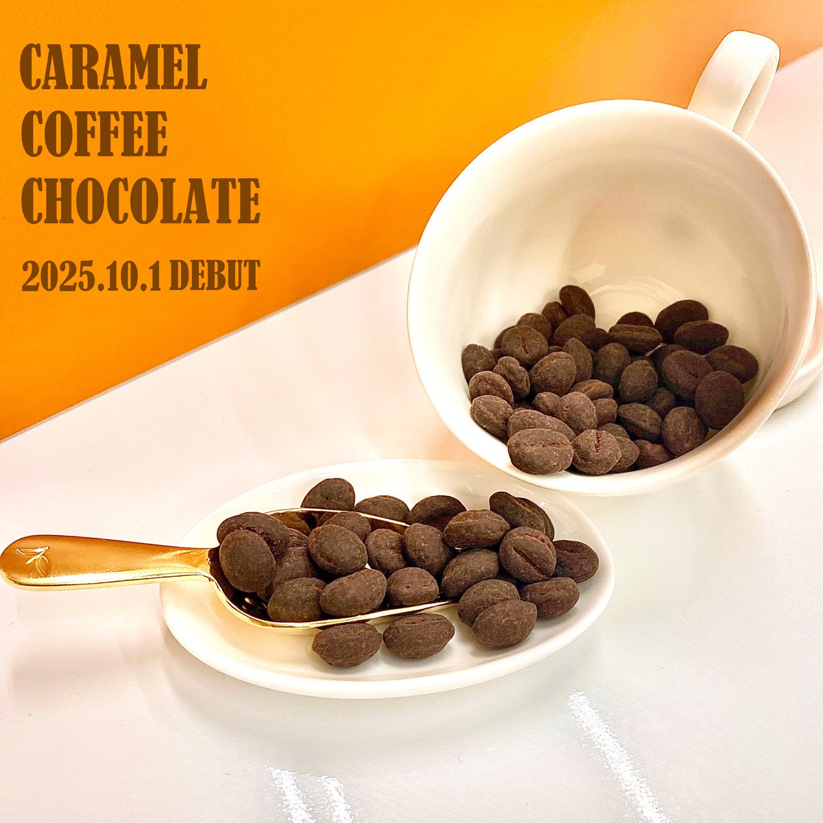 チョコ様 横井チョコレート【公式】 on X