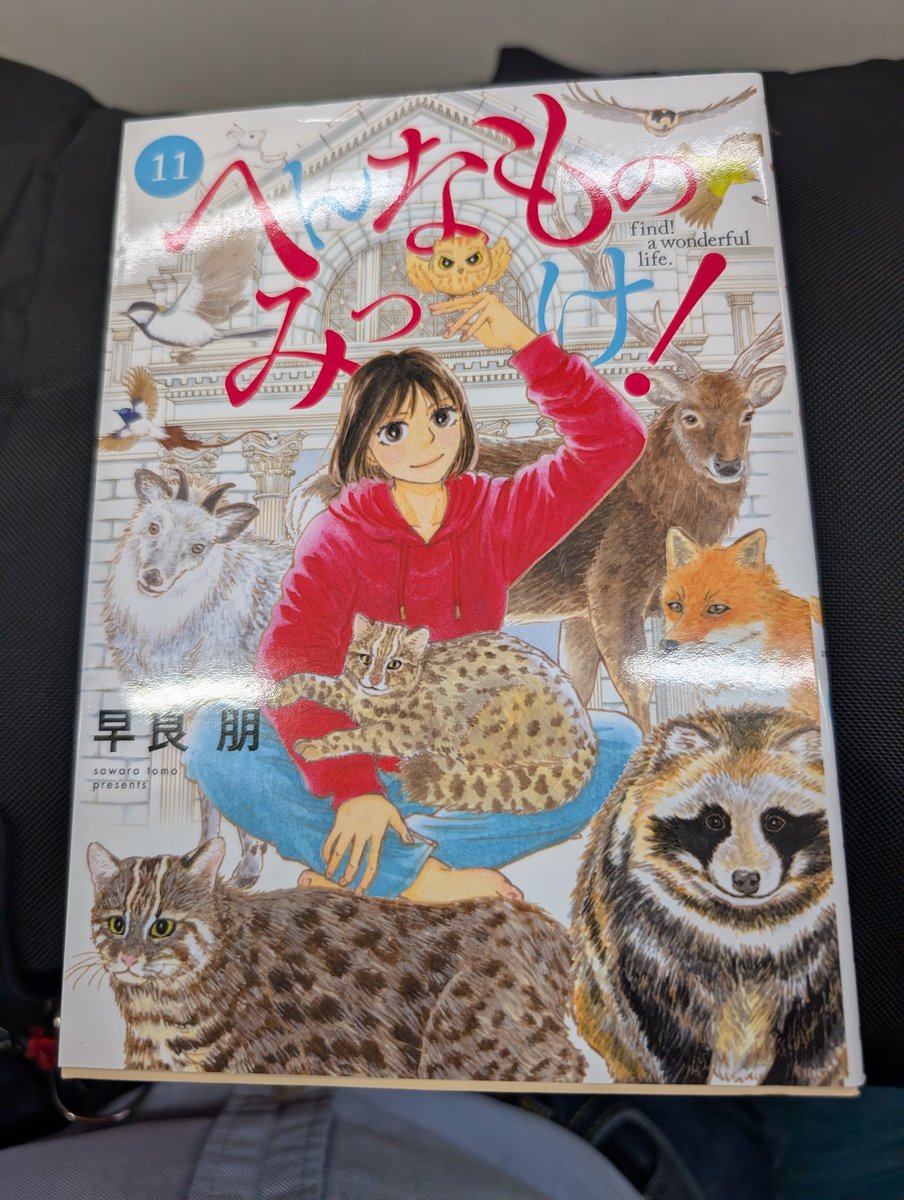 スタジオナナホシ　動物 スタジオナナホシ 動物