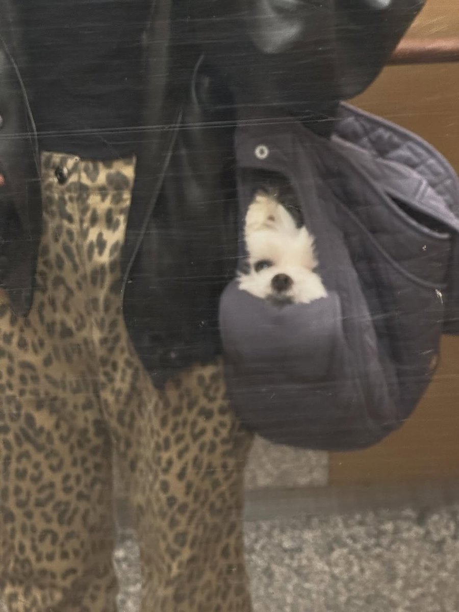 ⋆˚࿔ tweet media