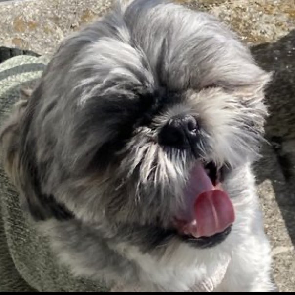 皆ㄜま🌸🍃

🌷🌷🐶ᤊլਕょぅ ~  ☕️🐣🌷🌷

ꮋꭿꮩꭼ ꭿ Nꭵꮳꭼ ꭰꭿꭹ 🫧🍀☀️ ⋆◡̈⋆