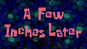 solaroddity tweet media