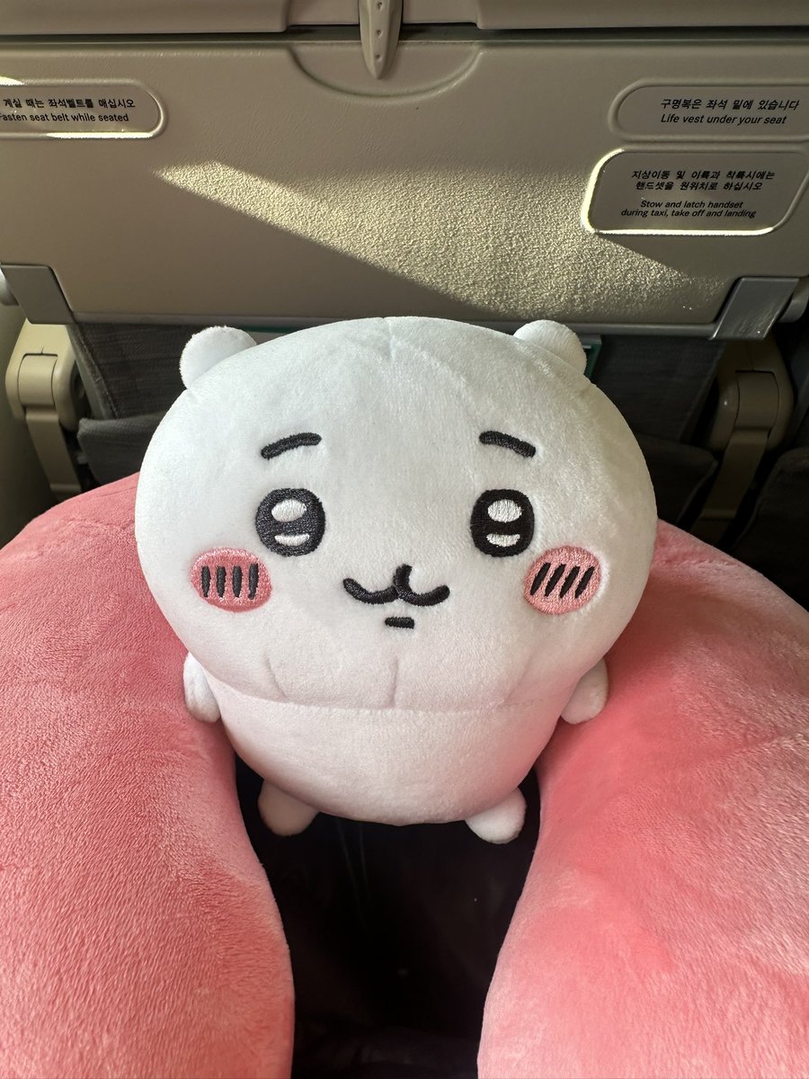 やっと乗れた✈
안녕〜❣
#韓国 #ルーピー