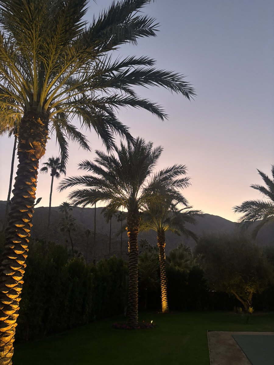 Ali Althans tweet media