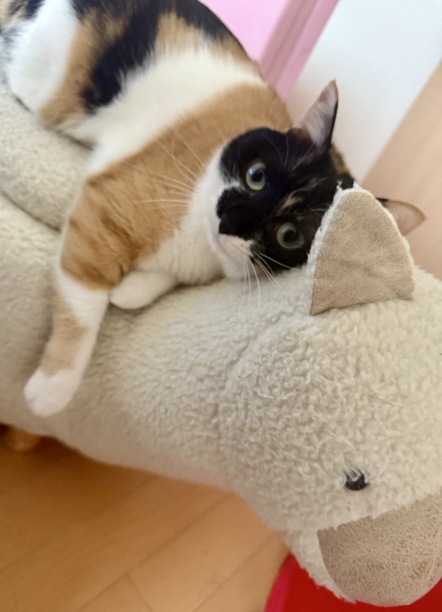 10/18までNO.2918✤失われた野生ねこ クリスマス チャーム 10/18までNO.2918✤失われた野生ねこ クリスマス チャーム