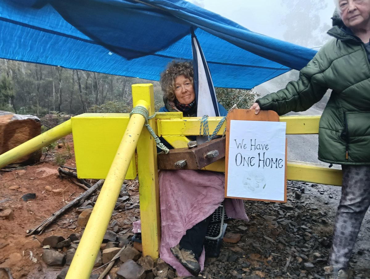 BobBrownFndn's tweet image. Native forest logging in TAS must end! This morning, a protester was arrested in a Central Highlands forest, while, on the weekend, citizen scientists from our foundation identified two #SwiftParrot nests in a forest on the logging schedule. #politas
bobbrown.org.au/swift-parrot-n…