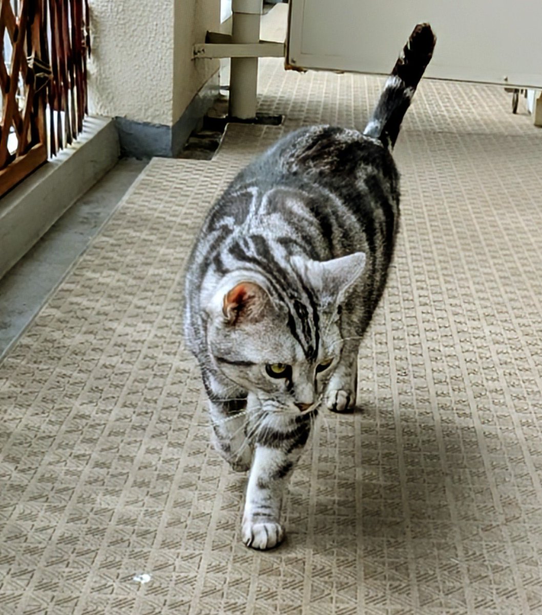 來夢ページ 来夢 (@k2kBcTiP82T4D13) / Posts / X