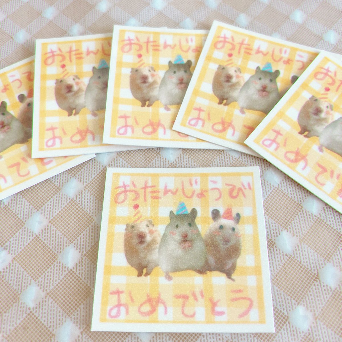 ま*️様 ❤️開花株❤️根っこパンパン❤️充実株❤️1145⭐️超レア⭐️小輪⭐ potato🐹ローデンツ🌟プリハム星👉11.22 (@oOpote_toOo) / Posts / X